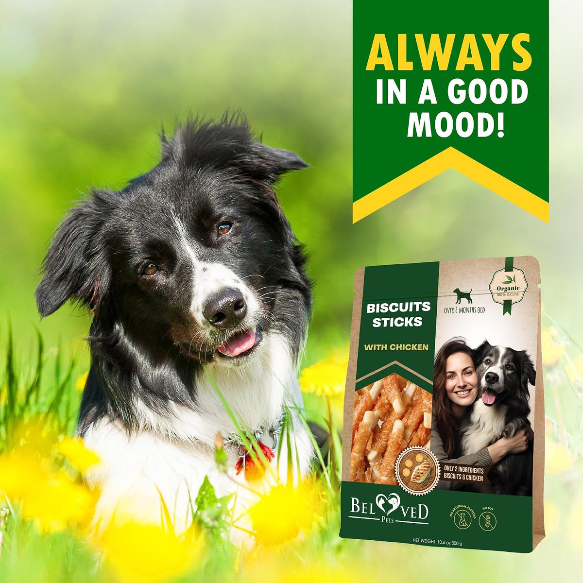 Chicken Wrapped Dog Treat Sticks – Natural Grain-Free Chews, 10.6 oz
