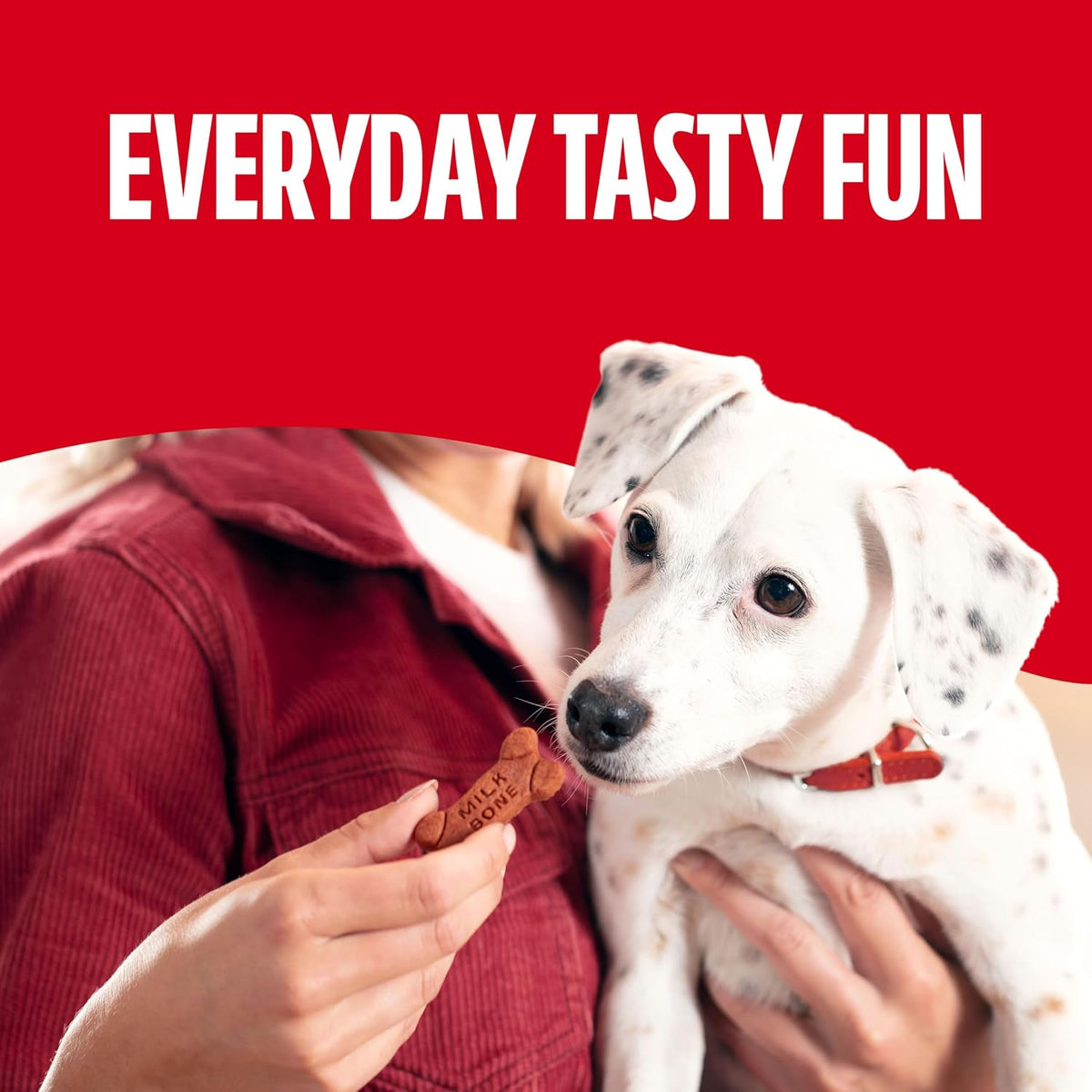 Milk-Bone Soft & Chewy Dog Treats – Beef & Filet Mignon Flavor, 25 oz